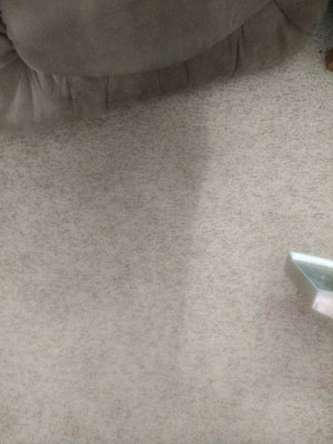 Carpet Cleaning Services Colorado Springs